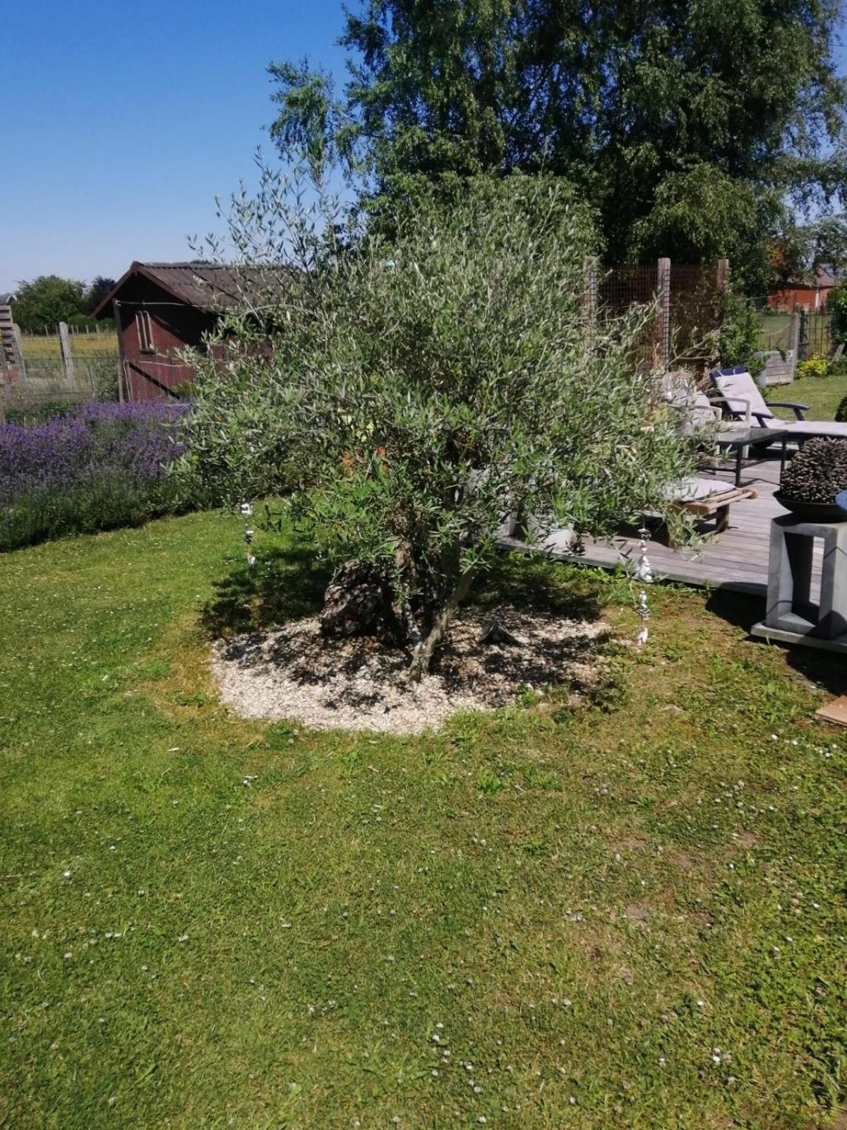 On Dirait Le Sud Chievres Exterior foto